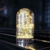 Laitcom D5816 Светодиодная Стеклянная Колба с Мерцанием на Батарейках, 15 LED